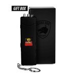 Hornet Micro Stun Gun Keychain with Flashlight