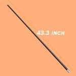 Black Magic Cane with Tutorial & Free Gloves