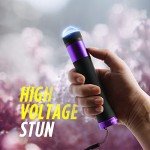 Guard Dog Ivy Stun Gun Flashlight for Women