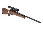 Benjamin Trail NP XL 1500 .177 Air Rifle with Scope