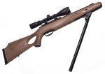 Benjamin Trail NP XL 1500 .177 Air Rifle with Scope