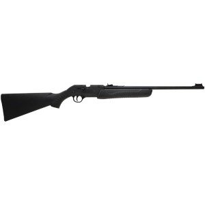 Daisy 901 BB Gun for Self Defense