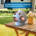 Wireless Solar Driveway Alarm System with Sensors