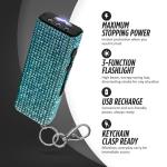 GUARD DOG Security Mini Stun Gun Keychain