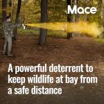 Mace Bear Spray - Powerful Self Defense Gear