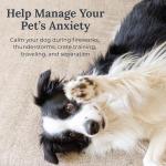 Yogasleep Pawzz White Noise Machine for Pets