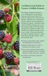 North America's Guide to 200 Edible Wild Plants