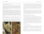 North America's Guide to 200 Edible Wild Plants