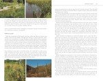 North America's Guide to 200 Edible Wild Plants