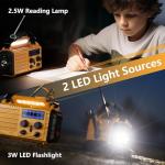 NOAA Weather Radio: 5-Way Powered Emergency Radio