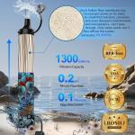 Lormandy Personal Straw Water Filter for Emergencies