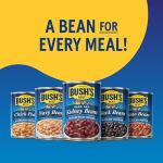 BUSH'S Best Black Beans, Plant-Based Protein, 12-Pack