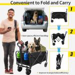 250-Piece Camping Survival Kit for Outdoor Emergencies