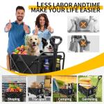 250-Piece Camping Survival Kit for Outdoor Emergencies