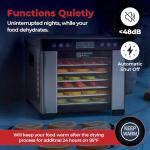 Magic Mill Pro Food Dehydrator | 7 Trays | Jerky, Treats, Herb, Meat, Fruit