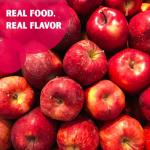 Freeze Dried Fuji Apples | Bulk Survival Food