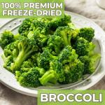 Nutristore Freeze Dried Broccoli | Long-Term Emergency Veggie