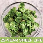 Nutristore Freeze Dried Broccoli | Long-Term Emergency Veggie