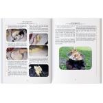 Lost SuperFoods: 126+ Tips for Emergency Stockpile