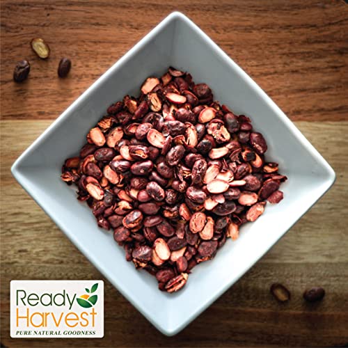 Survival Red Beans: Quick-Cook, 25-Year Shelf Life (3 lbs)
