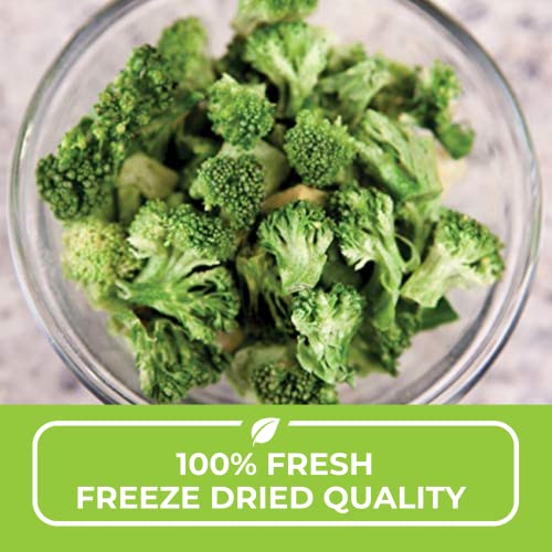 Nutristore Freeze Dried Broccoli | Long-Term Emergency Veggie