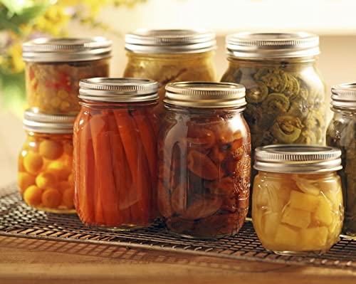 48Pcs Dalzom Canning Lids & Rings - Regular Mouth