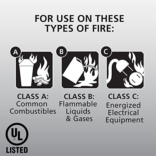 Kidde Pro 210 Fire Extinguisher, Multi-Purpose, 4 lbs