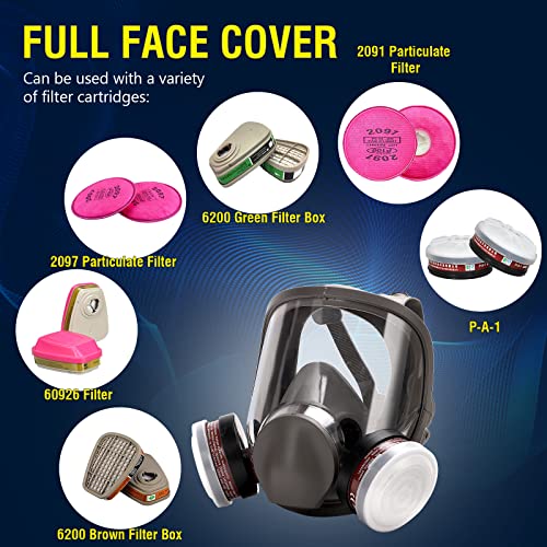 Reusable Full Face Gas Mask - Breathing Protection