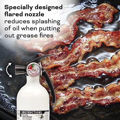 Kidde Kitchen Fire Extinguisher - Grease Fires