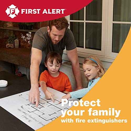 First Alert EZ Fire Spray, Extinguishing Aerosol Spray
