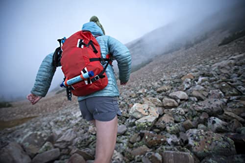 LifeStraw Personal Water Filter for Emergency Preparedness