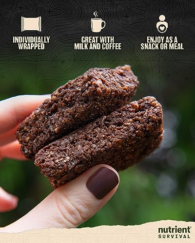 Chocolate Crunch Bars: Nutrient Survival Emergency Meal