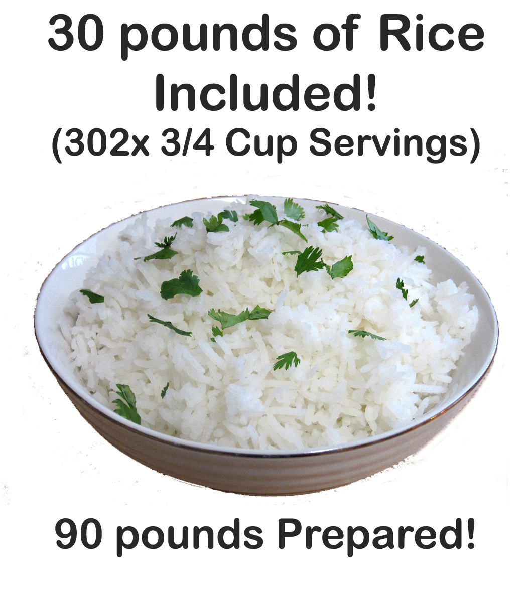 30 lbs Bucket of Rice for Emergency Preparedness