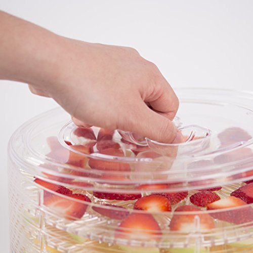 280W Commercial Chef Food Dehydrator for Jerky and More