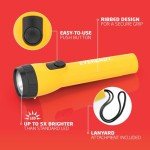4-Pack EVEREADY LED Flashlights, Emergencies/Camping, AA Batteries Included