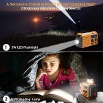 Multi-Function Emergency Radio with NOAA Alert