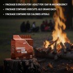Chocolate High-Energy Survival Food Supply Bars