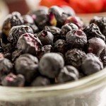 Augason Farms 25-Year Fruit Storage Pail