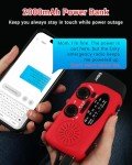 Esky Crank Radio with Flashlight and Power Bank