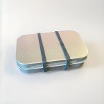Essential Survival Kit in a Tin