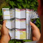 180-Piece Mini Striker Survival Kit & Guide