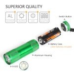 20-Pack Aluminum 6-LED Flashlights with Lanyards