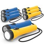 Eveready LED Flashlights (8-Pack) for Emergencies