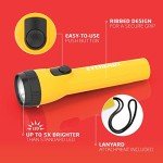 Eveready LED Flashlights (8-Pack) for Emergencies