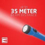 Eveready LED Flashlights (8-Pack) for Emergencies