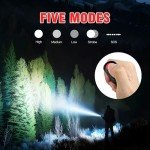 HAUSBELL A100 Waterproof LED Flashlight - 2 Pack