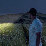 10-Pack Mini LED Flashlights for Emergencies and Outdoors