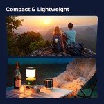 Battery-Powered LED Camping Lanterns - 2-Pack