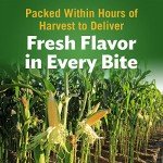 Del Monte Golden & White Sweet Corn - 12 Pack
