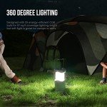 Pack of 4 High-Intensity Portable Camping Lanterns